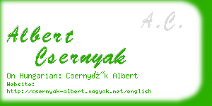 albert csernyak business card